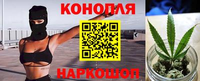 гашик Бузулук