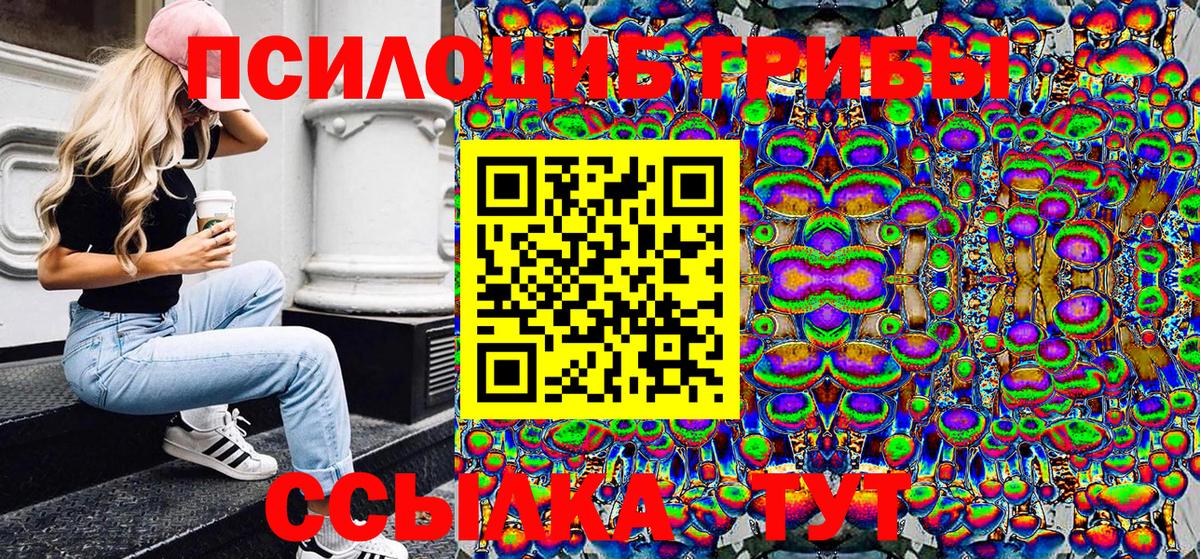 Псилоцибиновые грибы Cubensis  Вход с VPN  Россия 